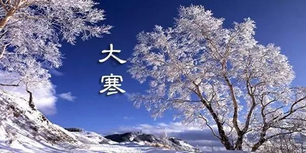 种养循环让小庭院变成“聚宝盆”